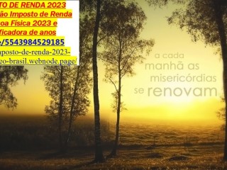 CONSULTORIA DE IMPOSTO DE RENDA 2023-CONTABILIDADE