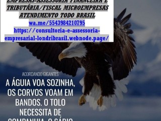 Brasil–Consultoria,Assessoria Auditoria,Empresarial e Contábil